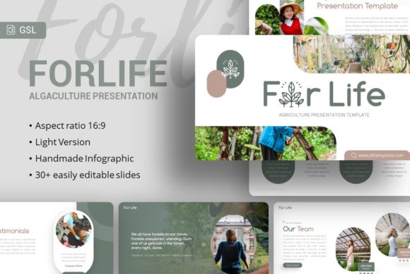 Evaluating the Google Slides Template - Forlife for Professional Presentations