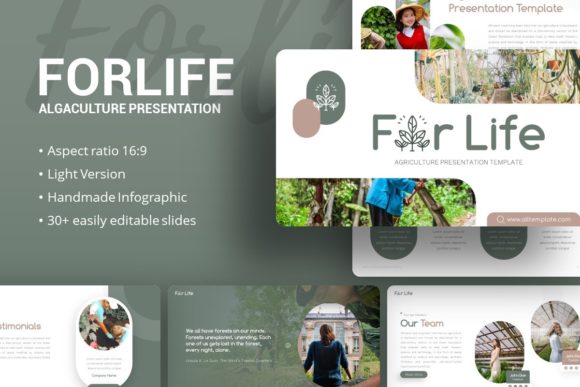 Presentation Template - Forlife: A Practical Guide to Effective Slide Design